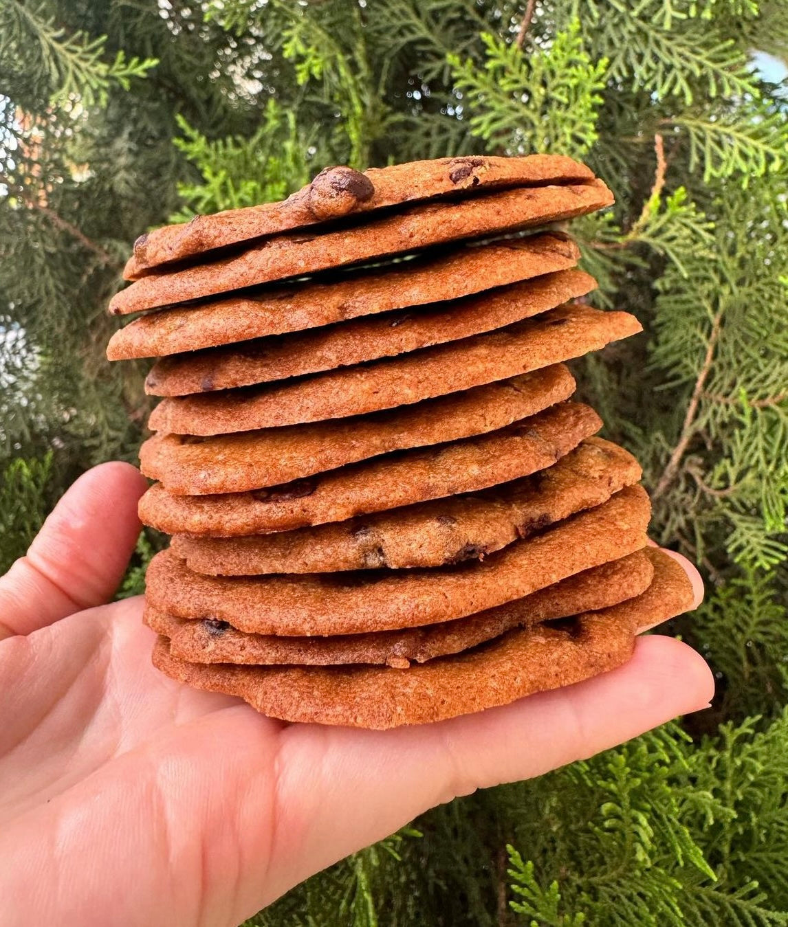 Thin&Crisp Cookies
