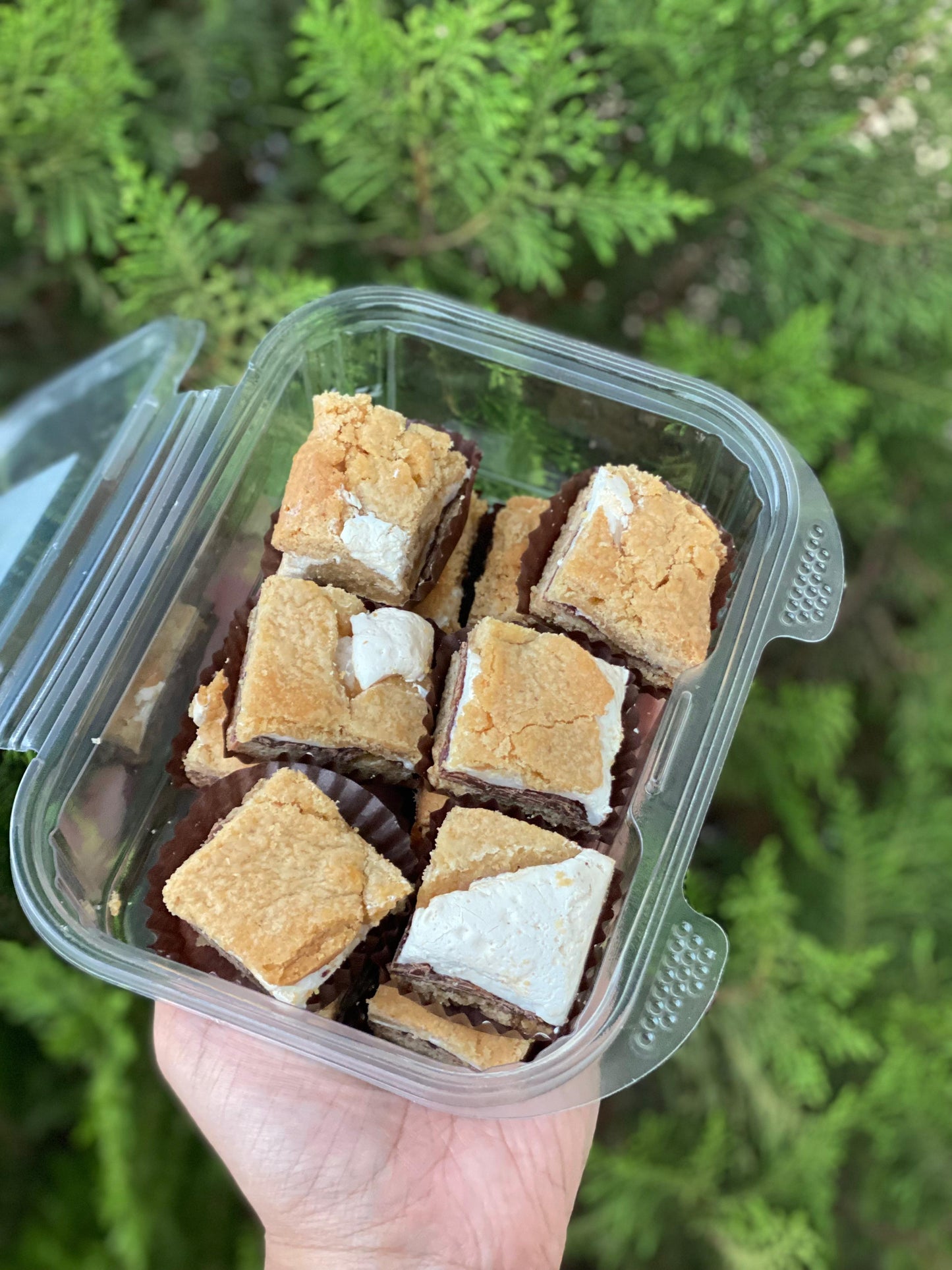 S’mores Brownies