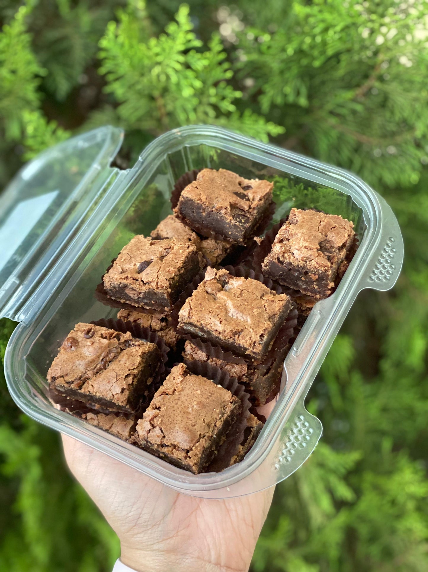 Brownies de Chocolate